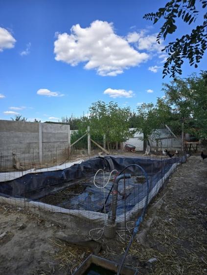 Casă individuală cu 3 camere cu Canalizare în Parța