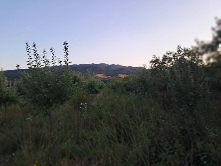 Teren de 1600 mp, în Șerbești