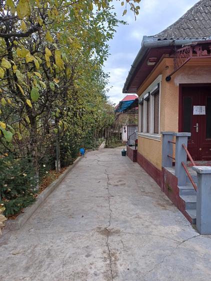Casă cu 3 camere în Central