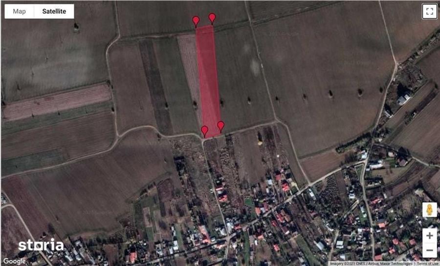 Teren extravilan Tancabesti com.Snagov - 1