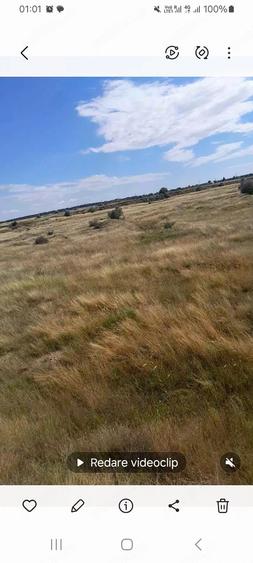 Teren de 10000 mp, în Berceni