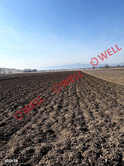 Teren de 10750 mp, în Baraolt