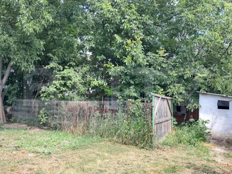 Casă cu 3 camere cu Teren 2920 Mp în Criș