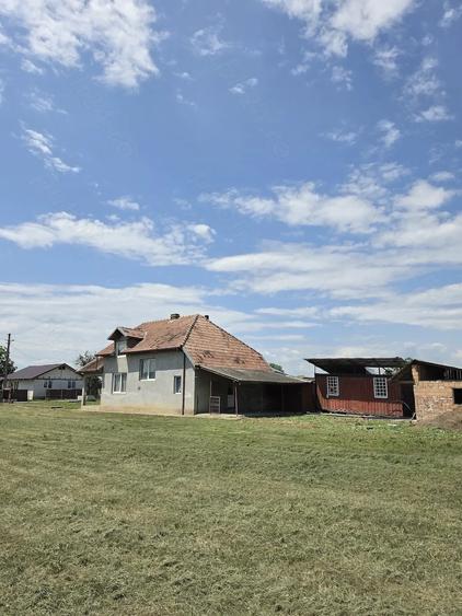 Casă cu Teren 1500 Mp în Jidvei