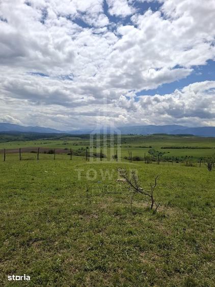 Teren de 11500 mp, în Roșia