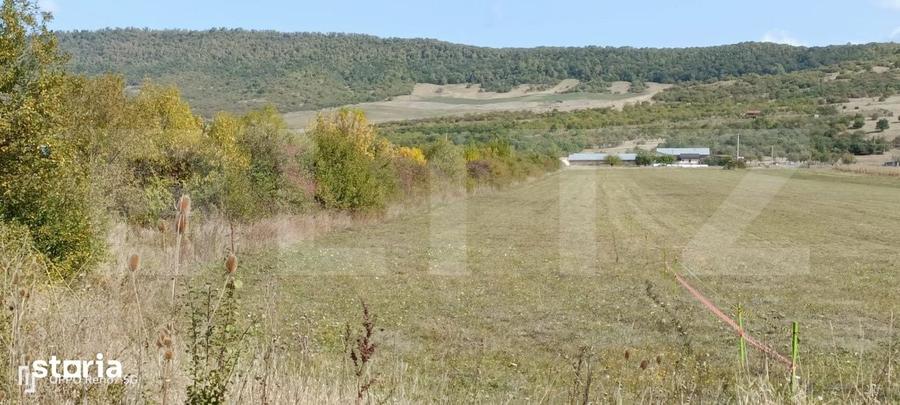 Teren de 4900 mp, în Șieu