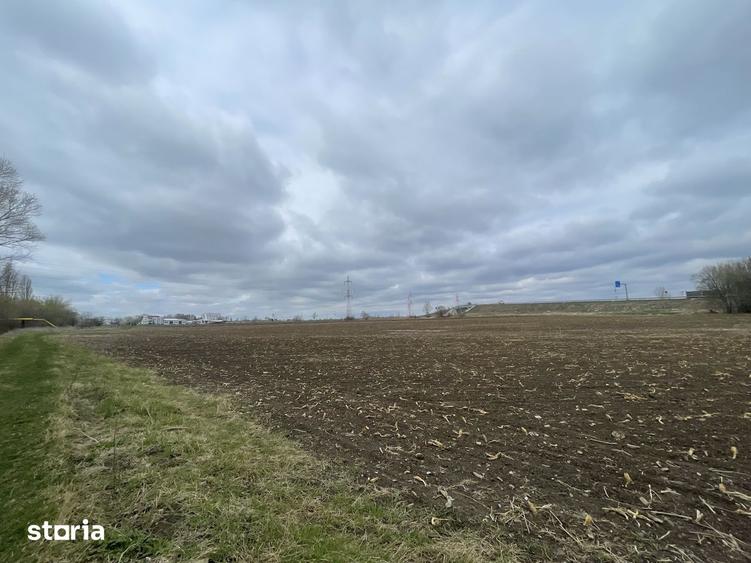 TEREN INTRAVILAN | 50 ARI | ZONA PERIFERICA RADAUTI - 4