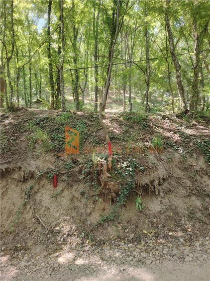 Teren intravilan de 1000 mp, în Sărata-Monteoru