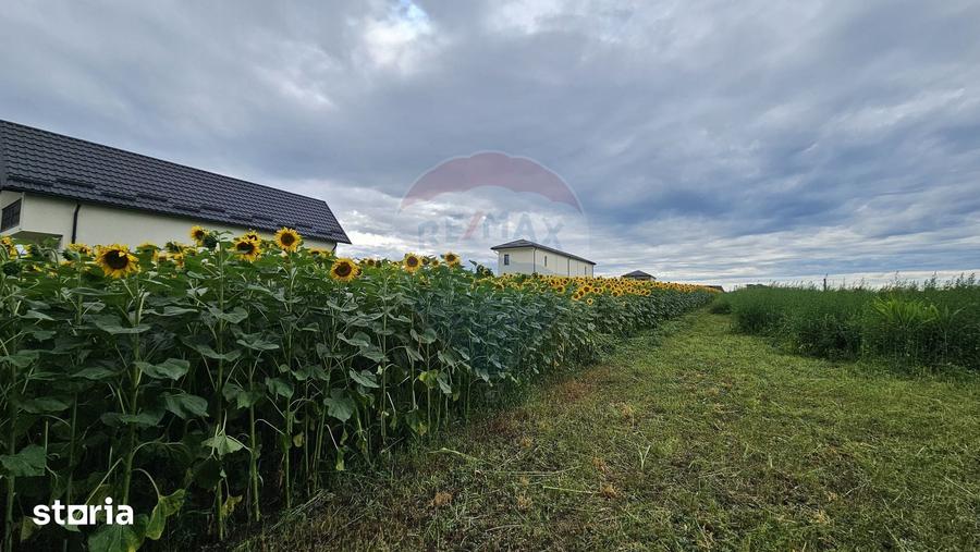 Teren de 2600 mp, în Lisaura