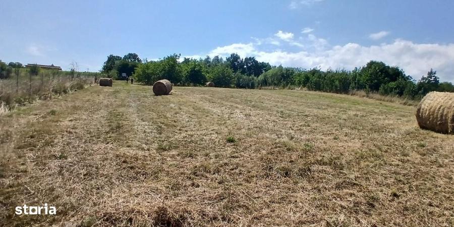 Casa in Comsesti cu teren intravilan 1800mp, acces bun - 3