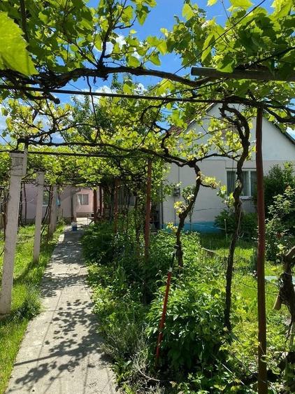 Casă individuală cu 3 camere cu Canalizare în Florilor
