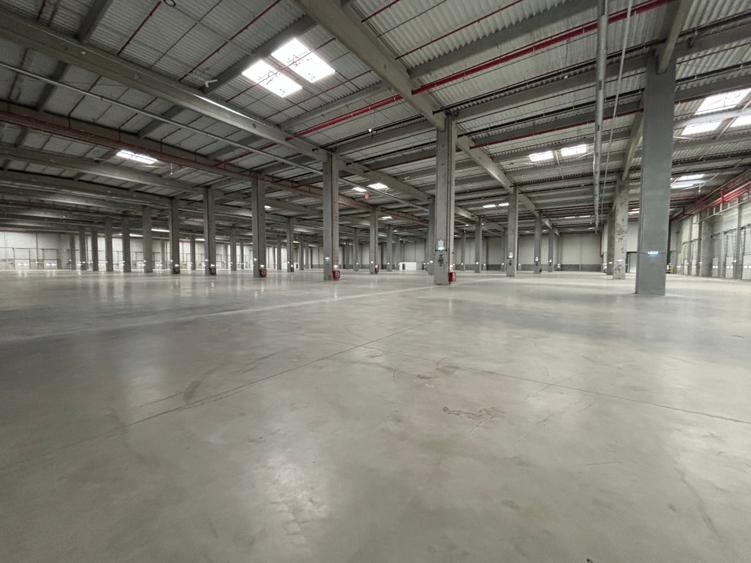 Spațiu industrial, de 20,000 mp, în Ștefăneștii de Jos