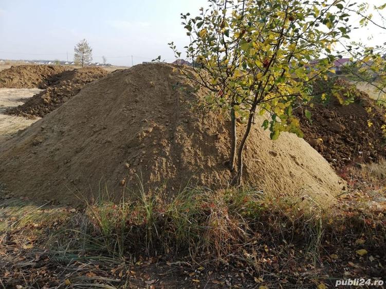Teren de 500 mp, în Dârza