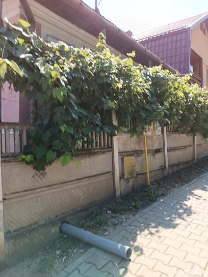 Casă cu 2 camere cu Teren 2615 Mp în Ocna Mureș