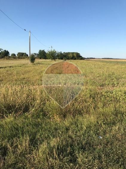 Teren agricol intravilan de 3200 mp, în Crivăț