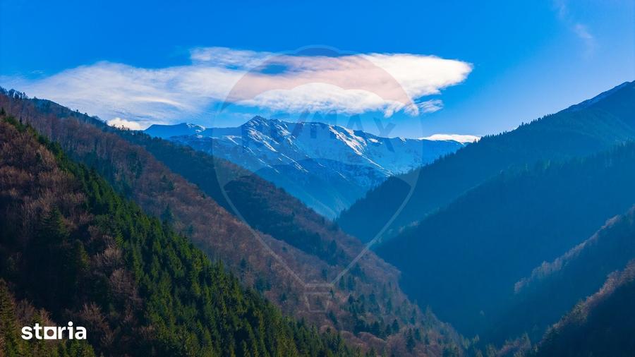 Teren de 17939 mp, în Mănești