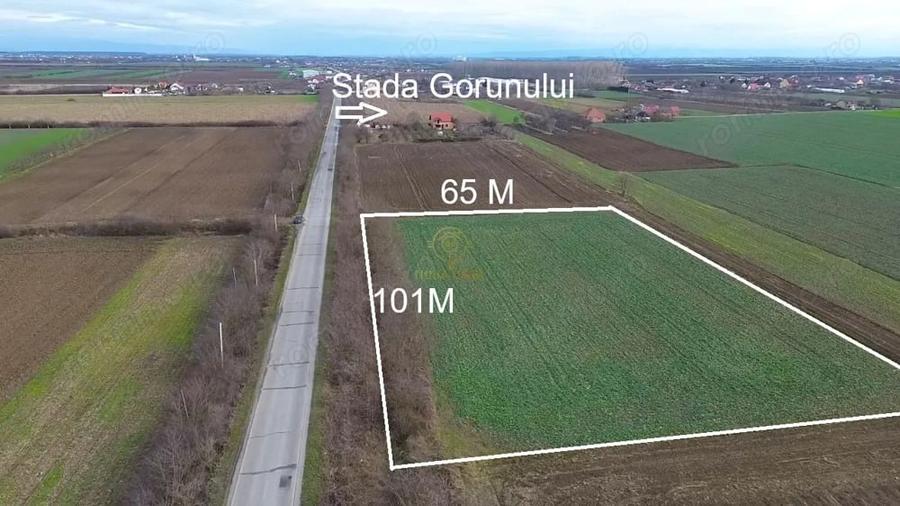 Teren de 6600 mp, în Lazuri