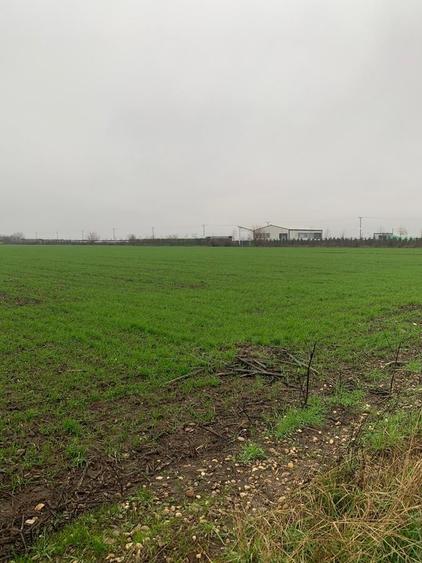 Teren Construcții intravilan de 30000 mp, în Ștefăneștii de Jos