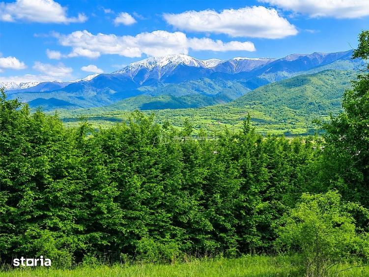 Teren de 5967 mp, în Tălmaciu