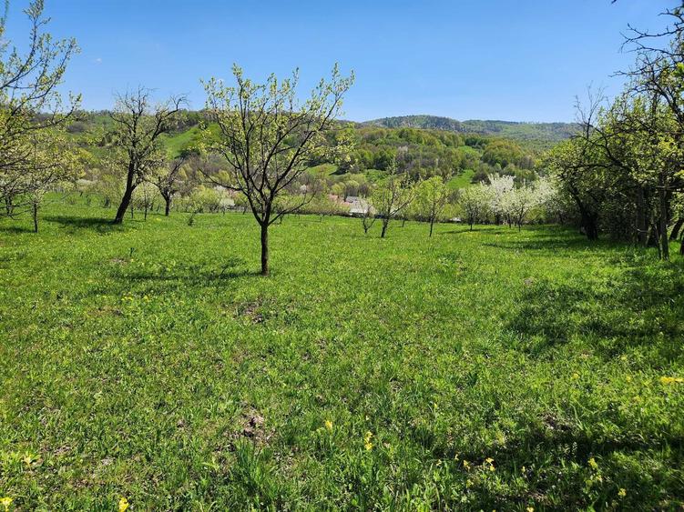Vand teren 16000 mp intravilan/extravilan in zona Valenii de Munte jud. Prahova - 1