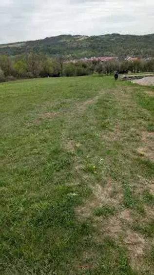 Teren de 4000 mp, în Cernești