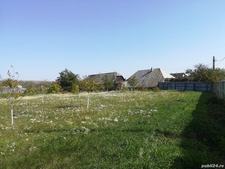 Teren de 1845 mp, în Costișa