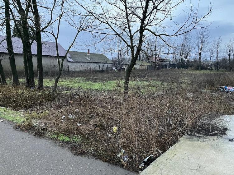 Teren de 1700 mp, în Florica