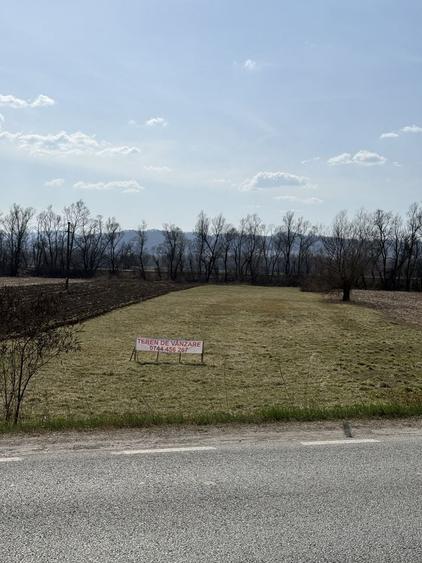 Teren de 6000 mp, în Bizușa-Băi