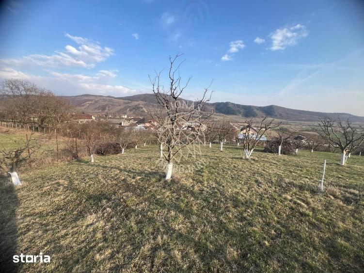 Teren de 3100 mp, în Nimigea