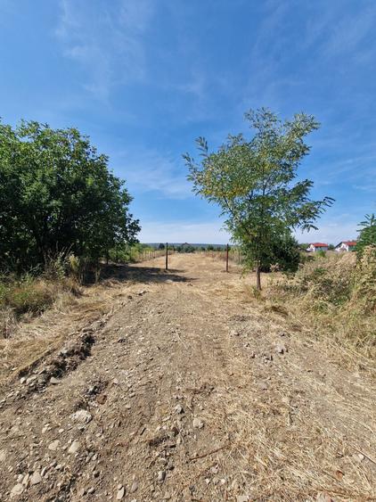 Teren de 1500 mp, în Boldești