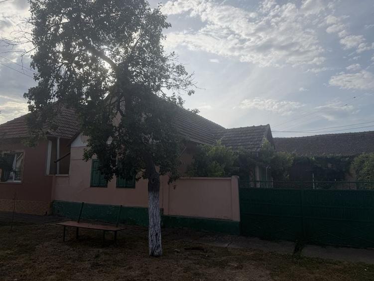 Casă cu 4 camere în Alioș