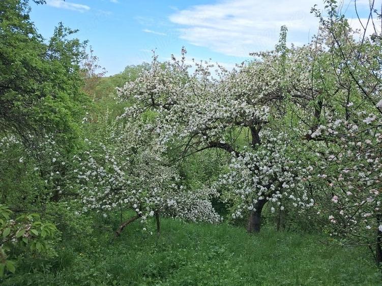 Casă cu 3 camere cu Teren 900 Mp în Poiana Sibiului