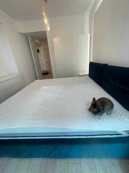 2 Camere Novum Politehnica Direct Proprietar - 2