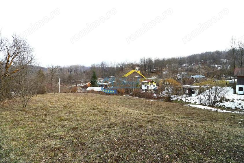 Teren de 1939 mp, în Provița de Sus