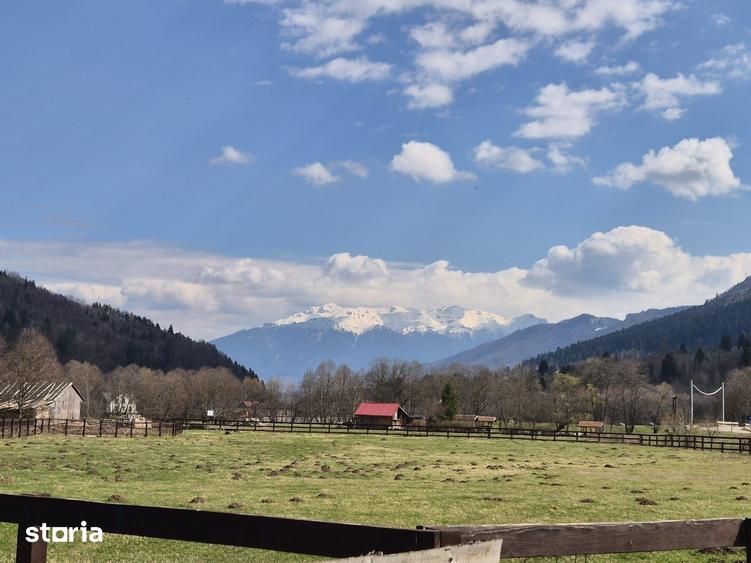 Teren de 2500 mp, în Plaiul Foii