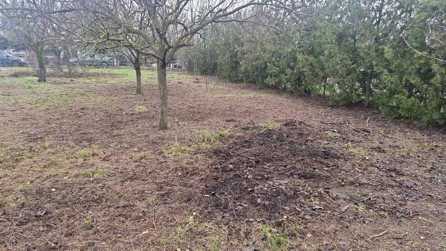 Casă cu 5 camere cu Teren 2800 Mp în Nuci