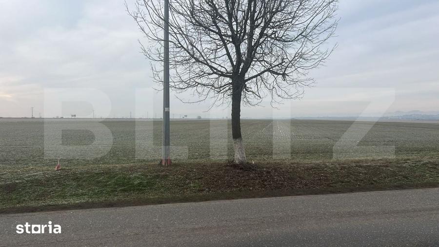 Teren de 5000 mp, în Central