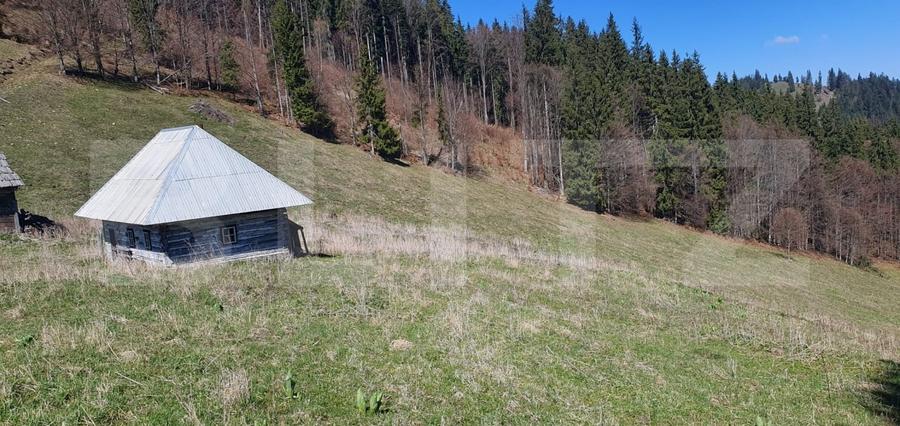 Teren Construcții extravilan de 206189 mp, în Vatra Dornei