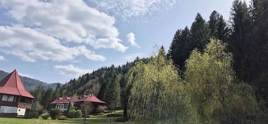 Teren de 4096 mp, în Tarcău