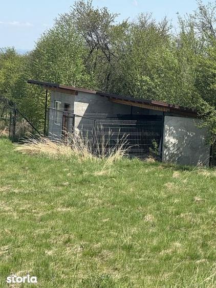 Teren de 4542 mp, în Sâmbăta de Sus