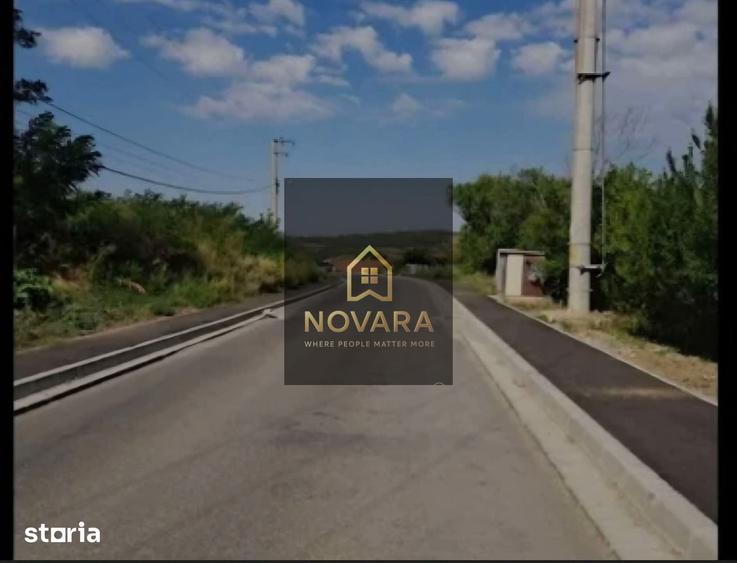 Teren de 2695 mp, în Podgoria