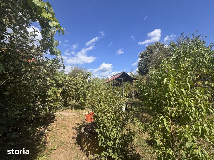 Casă cu 3 camere cu Teren 2000 Mp în Stâlpeni