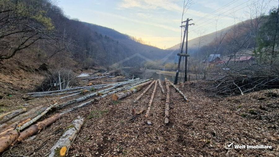 Teren Construcții intravilan de 3279 mp, în Mărișel