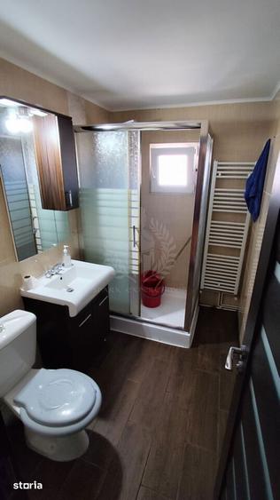 Apartament cu 2 camere, mobilat în Paltiniș