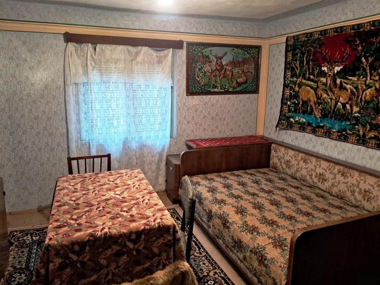 Casă individuală cu 4 camere cu Teren 1395 Mp în Baia de Fier