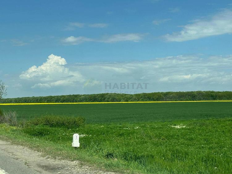 Teren agricol extravilan de 30700 mp, în Ciolpani