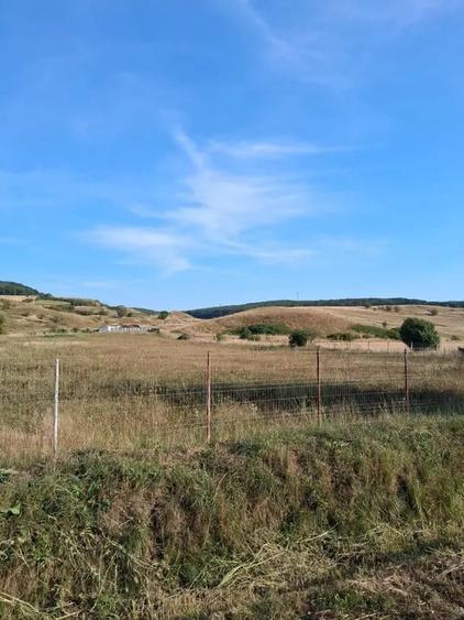 Teren de 2000 mp, în Petelea