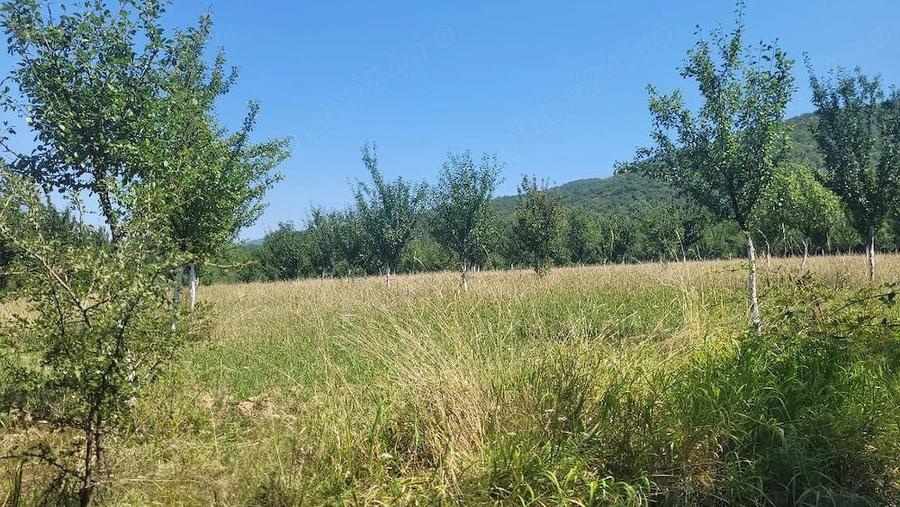 Teren în Prigor