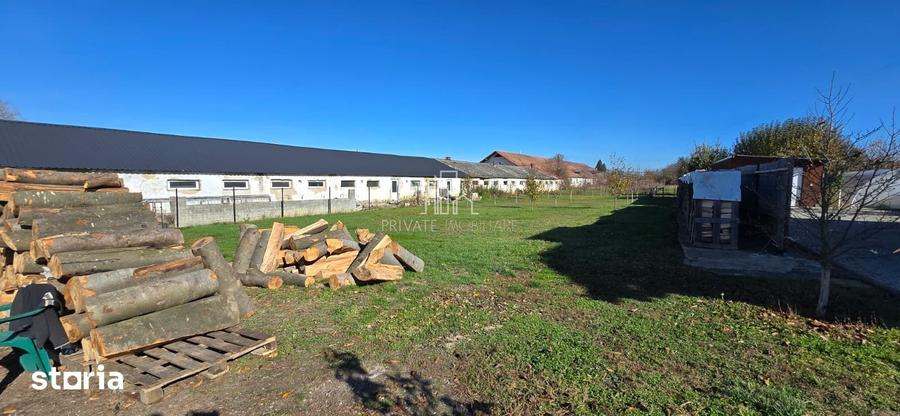 Teren de 1000 mp, în Albești