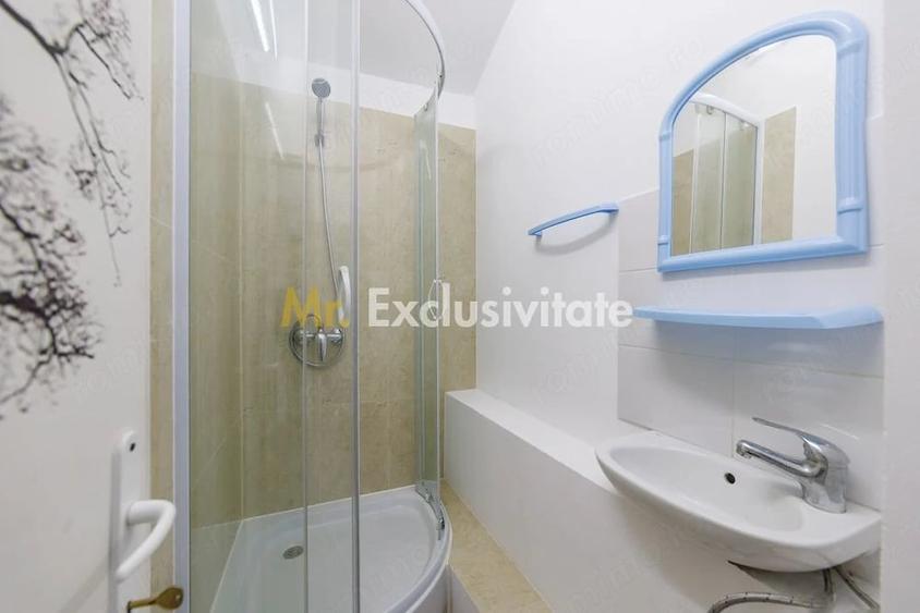 Spatiu Comercial - Ultracentral - Armand Calinescu, Pitesti! - 12